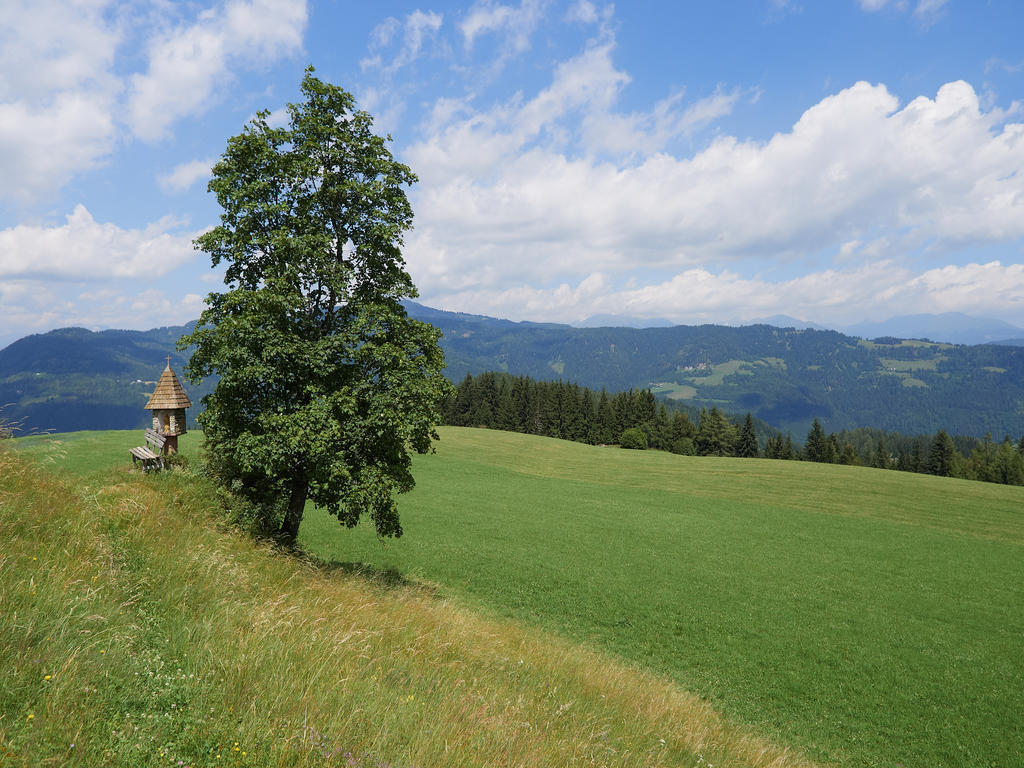 Alpengasthof Moser Karchau Exterior foto